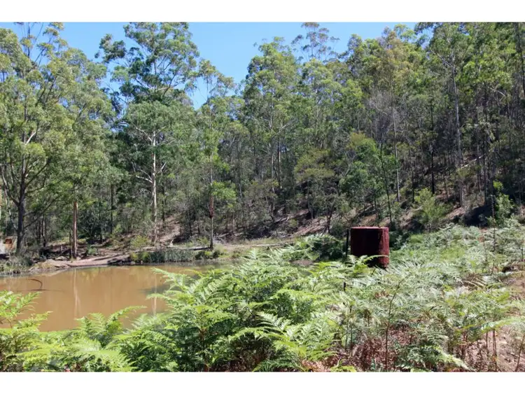 Third view of Homely rural property listing, Portions 71 & 72 Cedar Creek Road, Cedar Creek NSW 2325