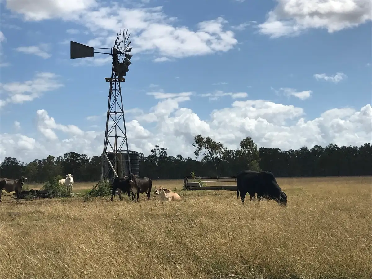 Main view of Homely rural property listing, 2107 South Ulam Road, Bajool QLD 4699