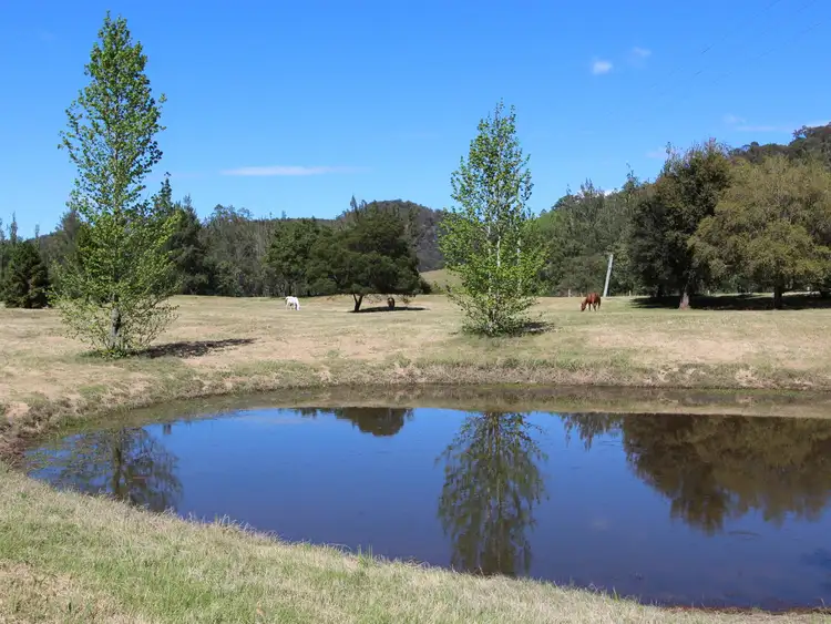 Third view of Homely rural property listing, 2410 Wollombi Road, Wollombi NSW 2325