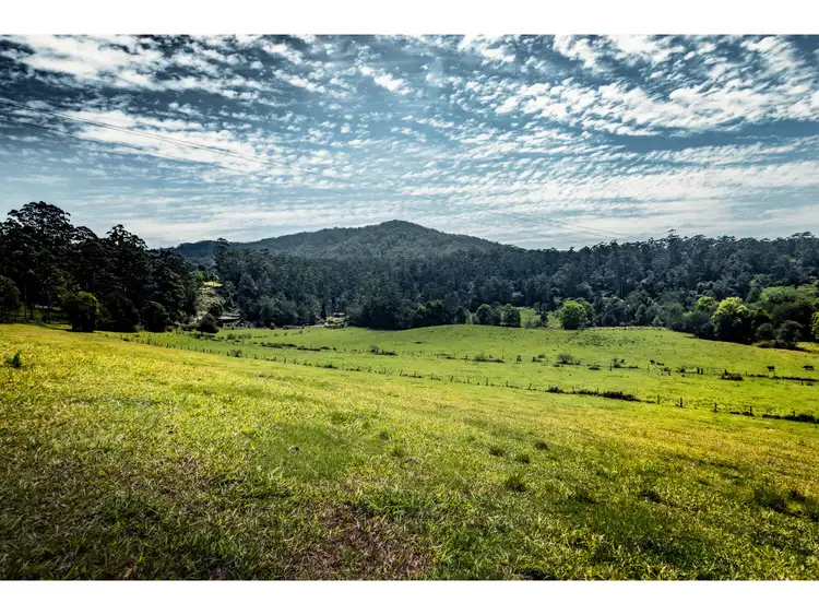 Seventh view of Homely rural property listing, 799 kalang Road, Bellingen NSW 2454