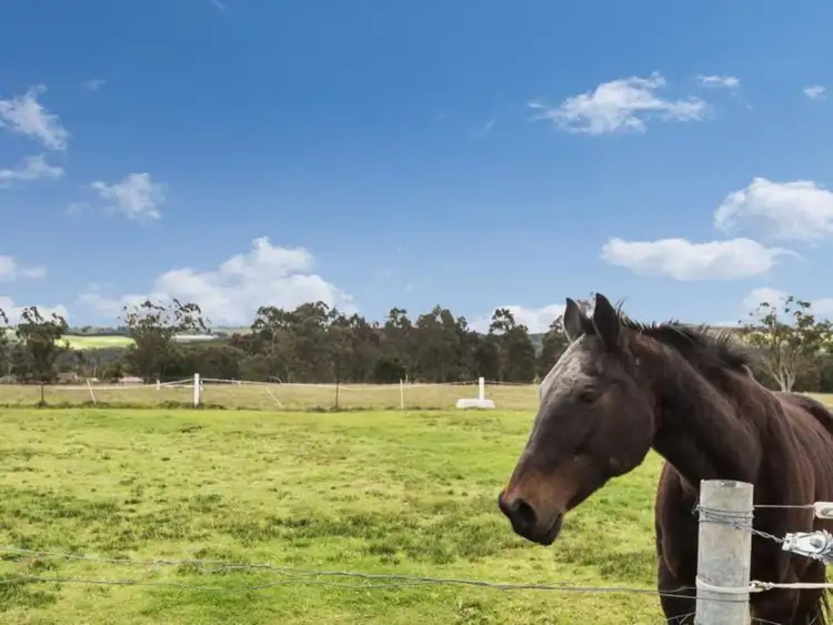 Third view of Homely rural property listing, 118 Barnes Road, Kulnura NSW 2250