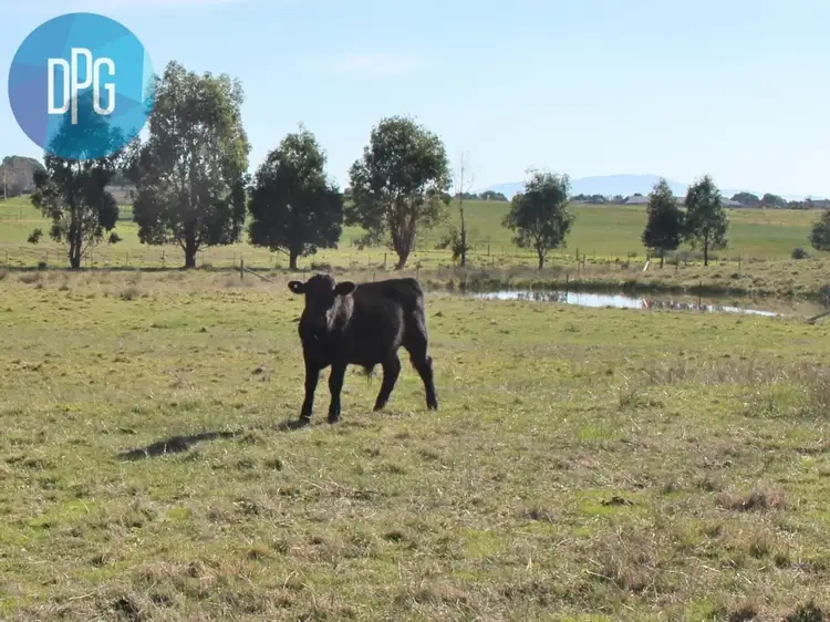 217 Ogilvies Road, Mansfield VIC 3722
