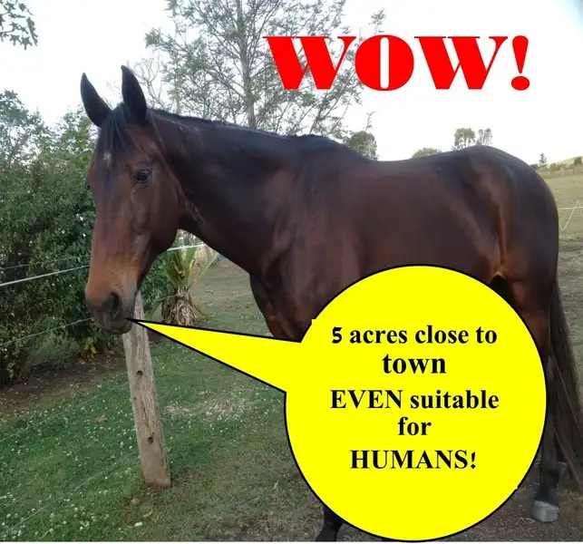 Second view of Homely house listing, 21 Eversley Court, Bromelton QLD 4285