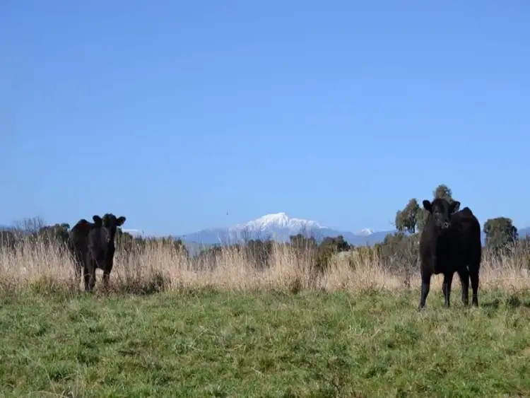 Seventh view of Homely land listing, LOT 1, 97 Graves Road, Mansfield VIC 3722