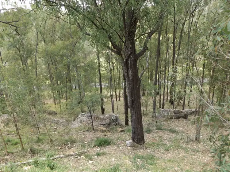 Third view of Homely rural property listing, 5 Blaxland Arm Road, Laguna NSW 2325