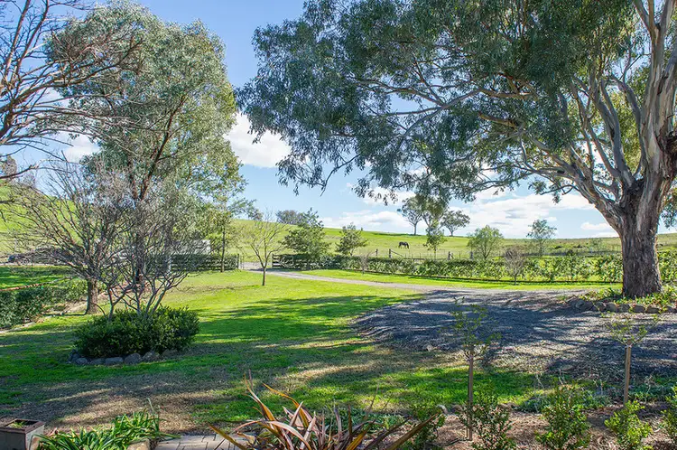 Second view of Homely rural property listing, 2366 Waverley Road Timor Via-, Scone NSW 2337