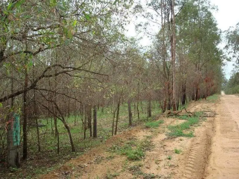Main view of Homely rural property listing, Lot 100 Fords Road, Gatton QLD 4343
