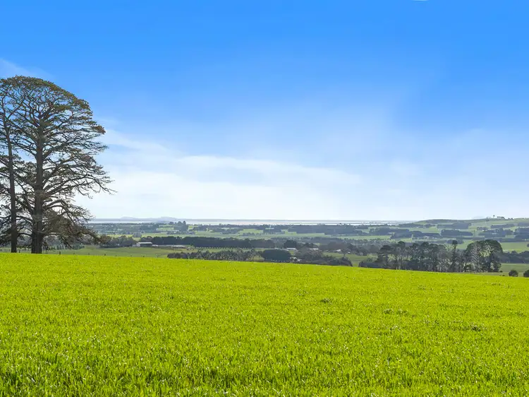 290 Christies Road, Elliminyt VIC 3250