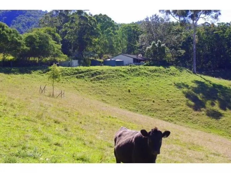 Main view of Homely rural property listing, 9 Appletree Road, Bellangry NSW 2446