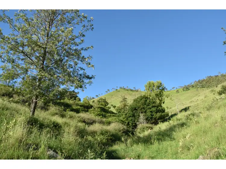 Seventh view of Homely rural property listing, 165 & Lot 298 Lefthand Branch Road, Lefthand Branch QLD 4343