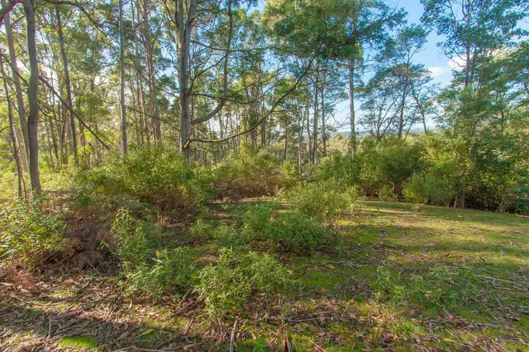 Seventh view of Homely land listing, 70 Clayton Drive, Spreyton TAS 7310