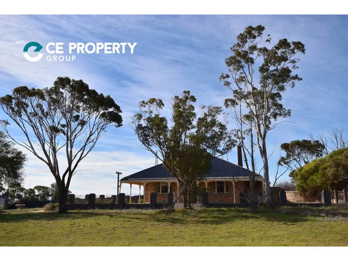 Main view of Homely rural property listing, 534 Reedy Creek Road, Murray Bridge SA 5253