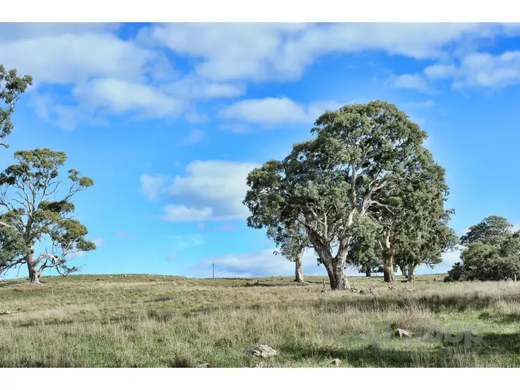 Fifth view of Homely land listing, LOT 43 Bunnett Road, Bugle Ranges SA 5251