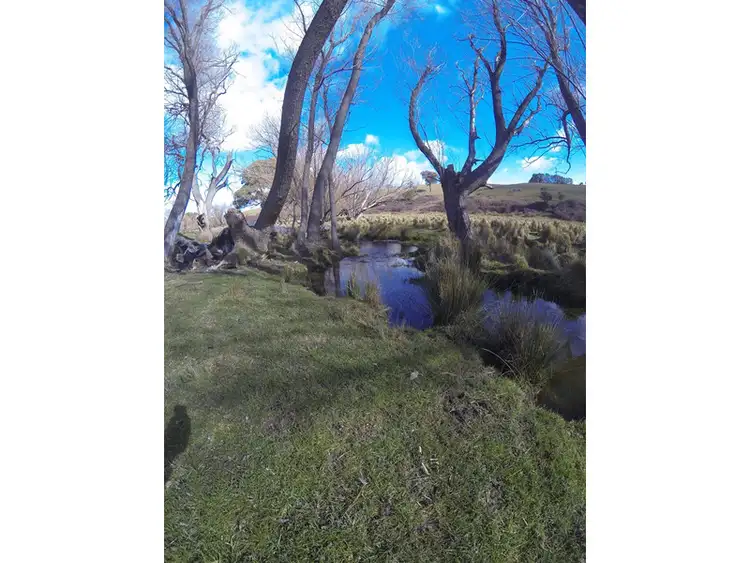 Seventh view of Homely rural property listing, 352 Old Trunk Road, Bathurst NSW 2795