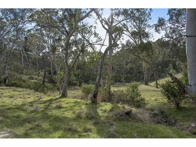 Main view of Homely rural property listing, Address available on request