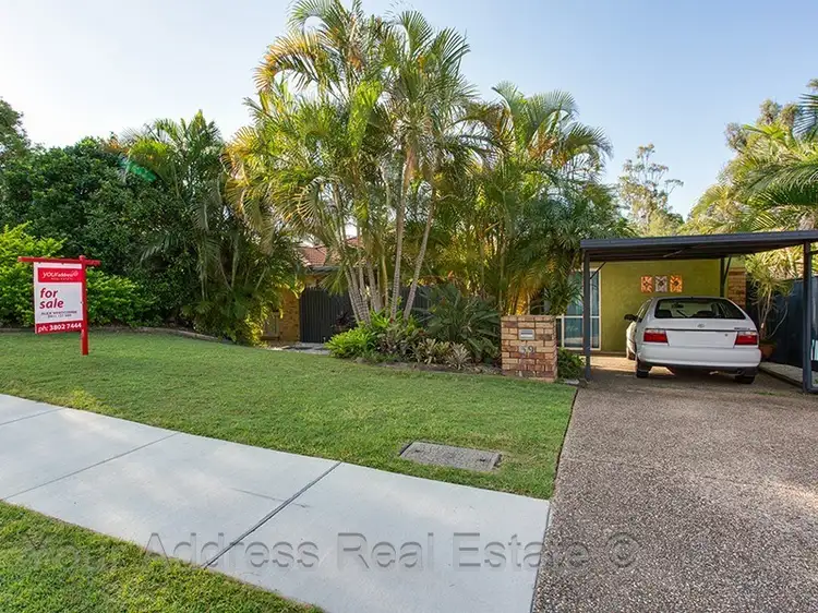 Main view of Homely house listing, 59 Radiata Street, Hillcrest QLD 4118