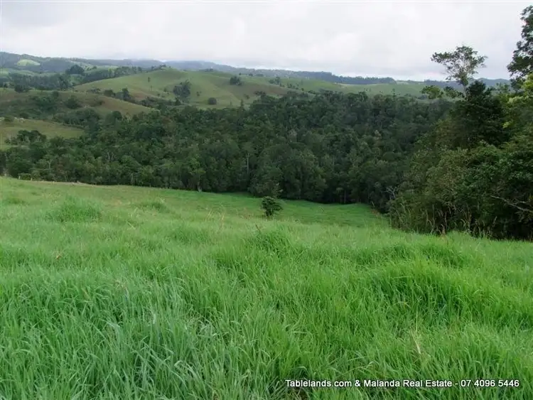 Third view of Homely rural property listing, F195/404 Old Palmerston Highway, Millaa Millaa QLD 4886