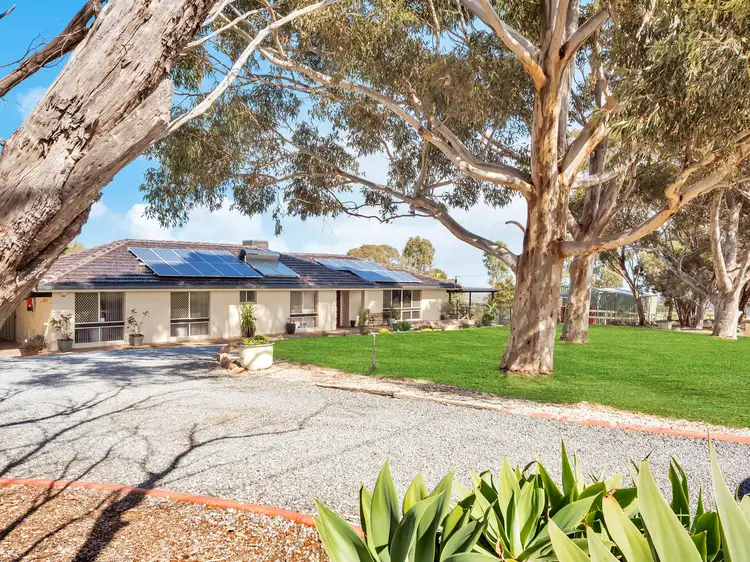 308 Medlow Road, One Tree Hill SA 5114