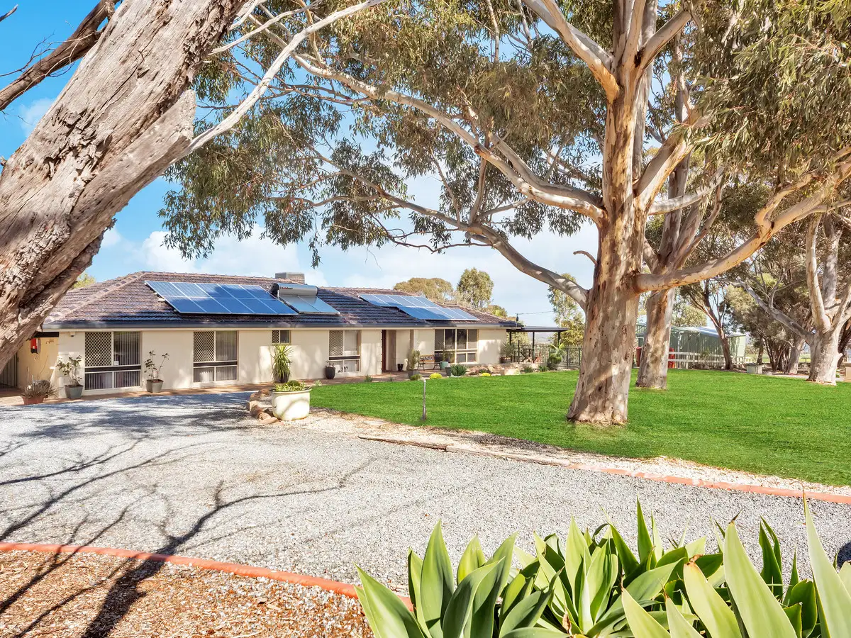 Main view of Homely rural property listing, 308 Medlow Road, One Tree Hill SA 5114