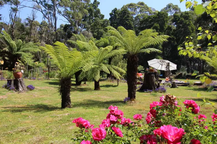 Sixth view of Homely land listing, 15 Jones Street, Strahan TAS 7468