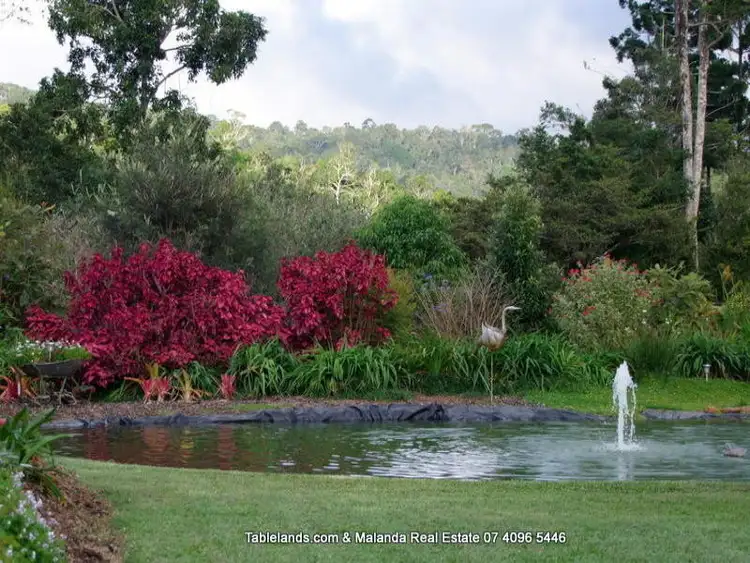 Fifth view of Homely rural property listing, F884/RN252 Maalan Road, Millaa Millaa QLD 4886