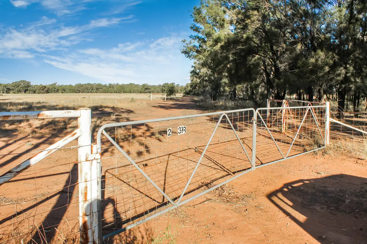 Main view of Homely rural property listing, 239R Mogriguy Road, Eumungerie NSW 2831
