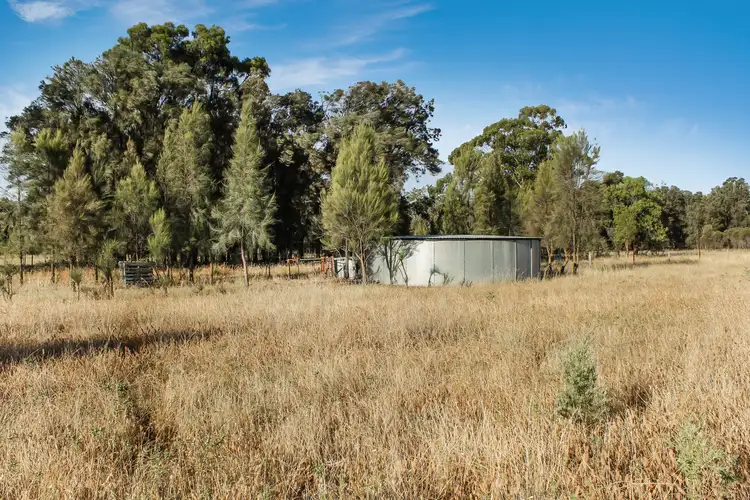 Second view of Homely rural property listing, 239R Mogriguy Road, Eumungerie NSW 2831