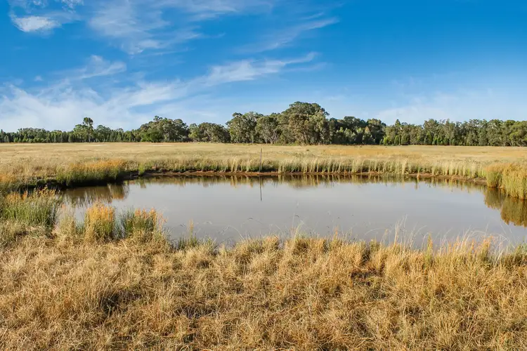 Third view of Homely rural property listing, 239R Mogriguy Road, Eumungerie NSW 2831