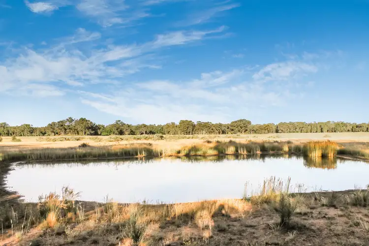 Fourth view of Homely rural property listing, 239R Mogriguy Road, Eumungerie NSW 2831