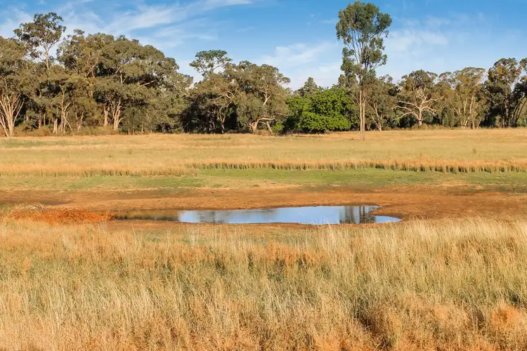Fifth view of Homely rural property listing, 239R Mogriguy Road, Eumungerie NSW 2831