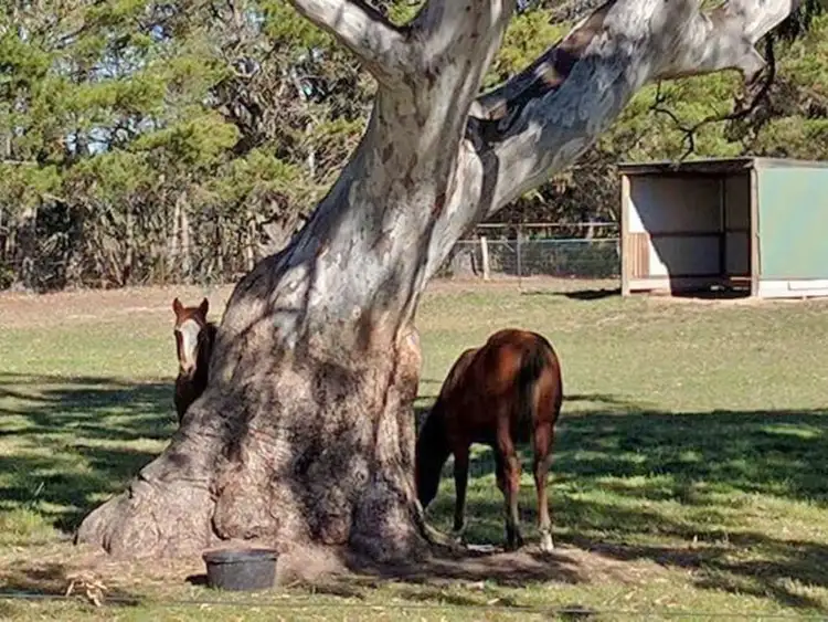 Address available on request