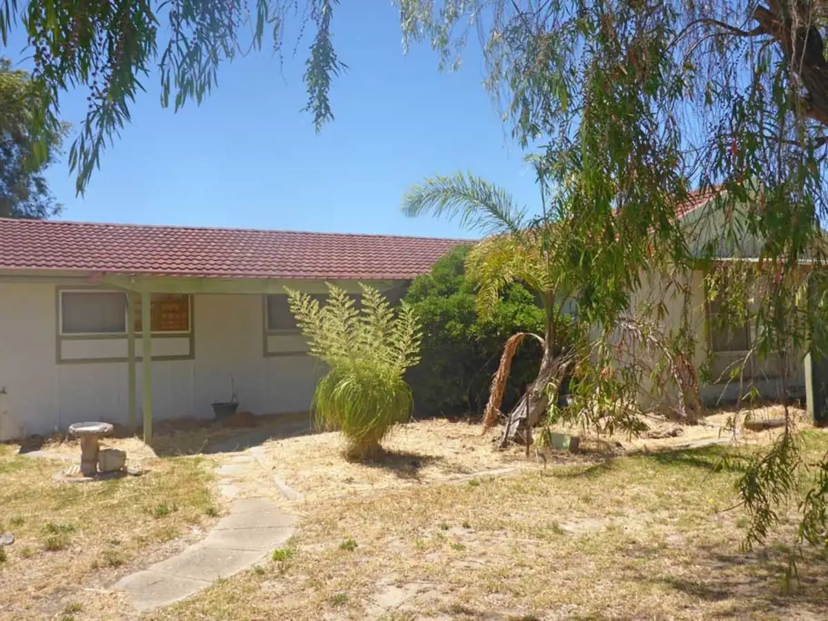 Main view of Homely house listing, 12 Olympian Way, Nulsen WA 6450
