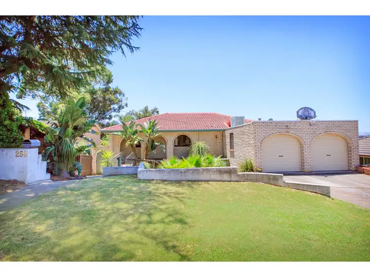 Main view of Homely house listing, 258 Desmond Street, Lavington NSW 2641