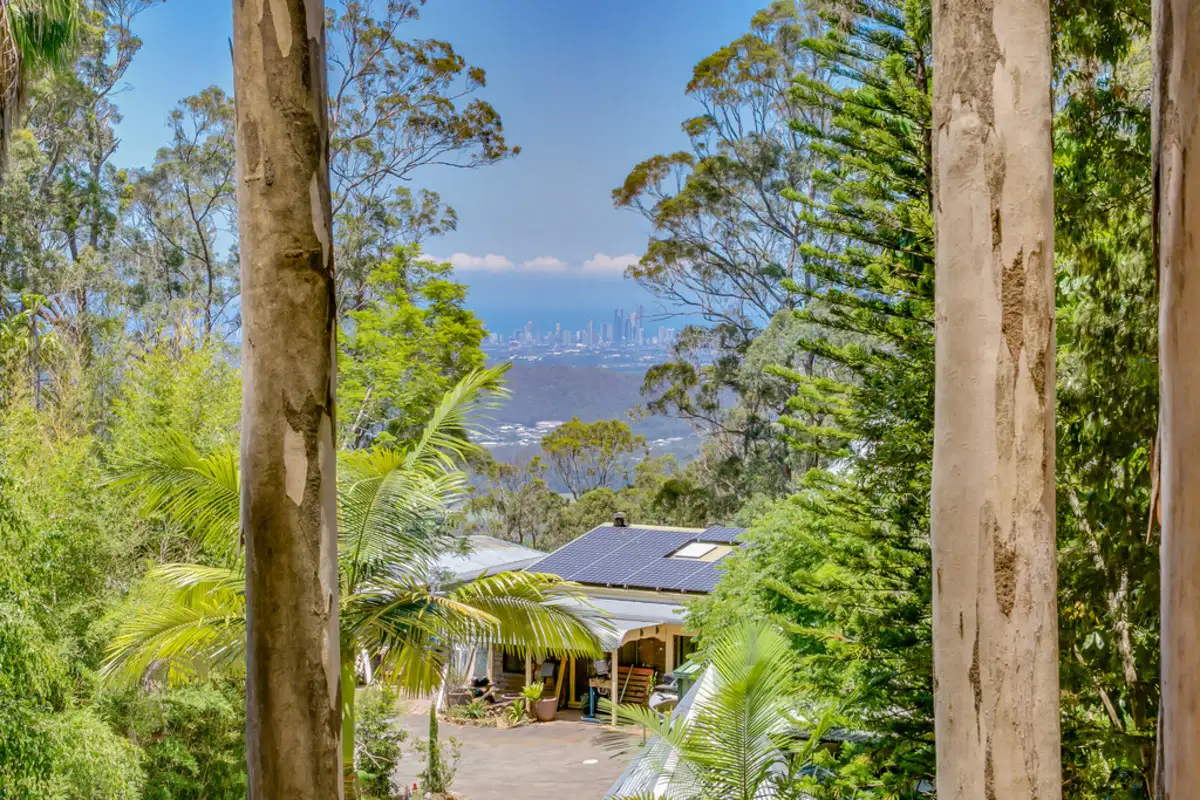 Main view of Homely house listing, 484 Beechmont Road, Lower Beechmont QLD 4211