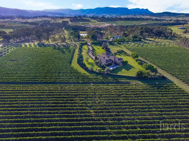 Main view of Homely rural property listing, 327 O'Connors Road, Pokolbin NSW 2320