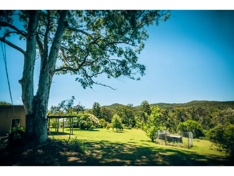 Fifth view of Homely rural property listing, 700 Cemetery Bend Road, Tyringham NSW 2453