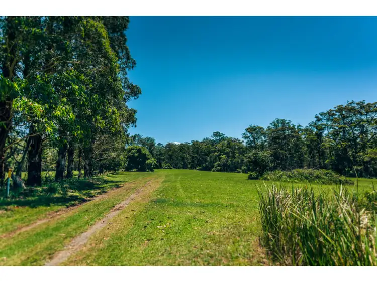 Seventh view of Homely rural property listing, 700 Cemetery Bend Road, Tyringham NSW 2453