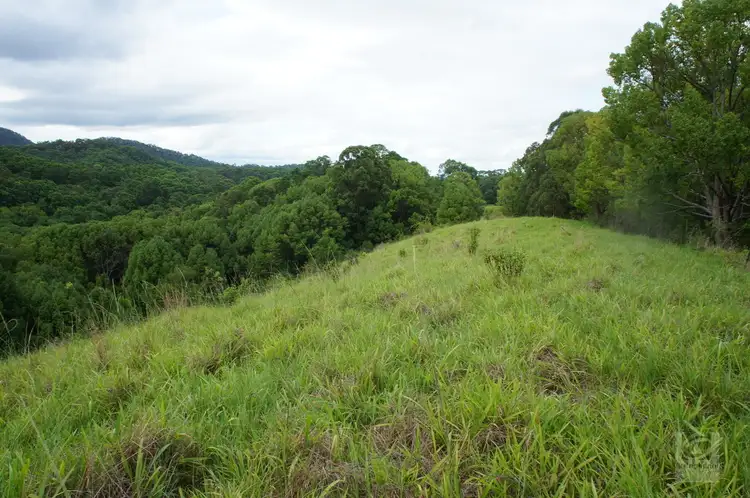 Fifth view of Homely rural property listing, 761 Smiths Creek Road, Stokers Siding NSW 2484