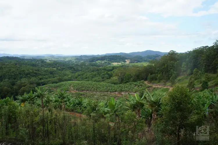 Seventh view of Homely rural property listing, 761 Smiths Creek Road, Stokers Siding NSW 2484