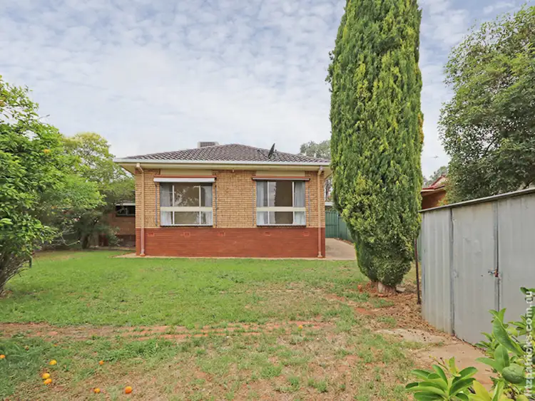 Fifth view of Homely house listing, 16 Mimosa Drive, Mount Austin NSW 2650