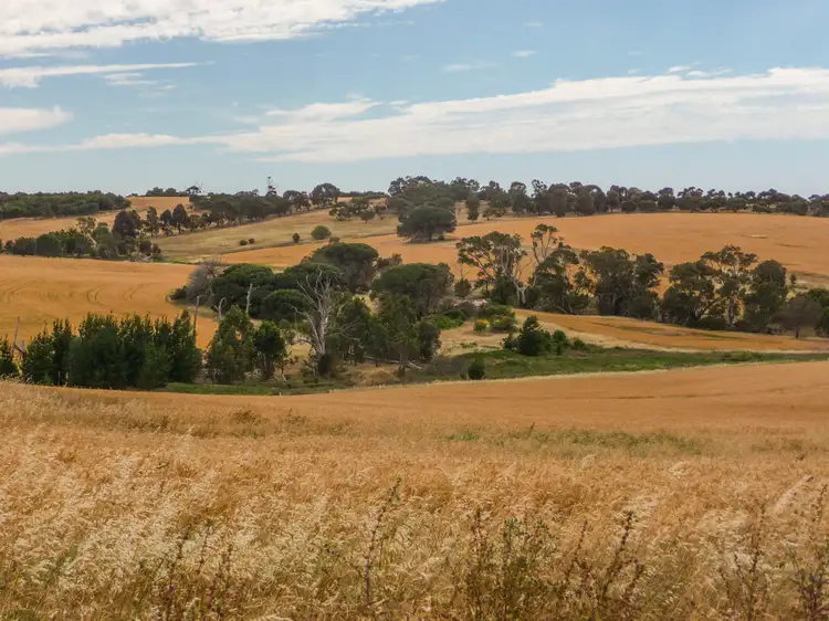 Main view of Homely rural property listing, Section 166 & 170 Green Lane, North Shields SA 5607