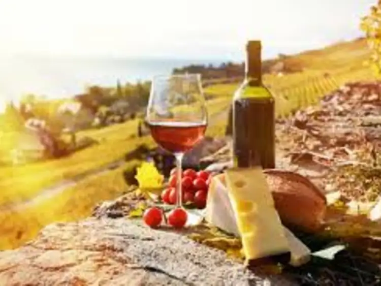 Seventh view of Homely land listing, 58-60 Wollombi Road, Broke NSW 2330