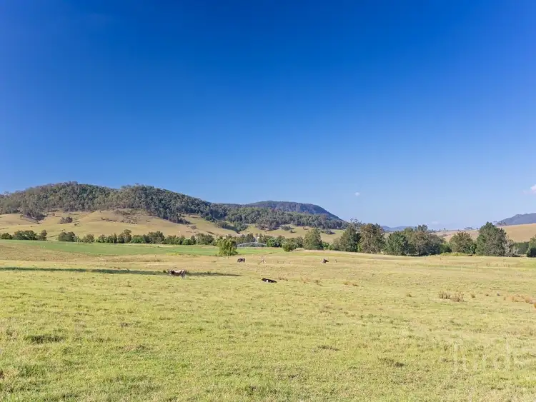 Sixth view of Homely rural property listing, 130 Fernhill Road, Dalwood NSW 2335
