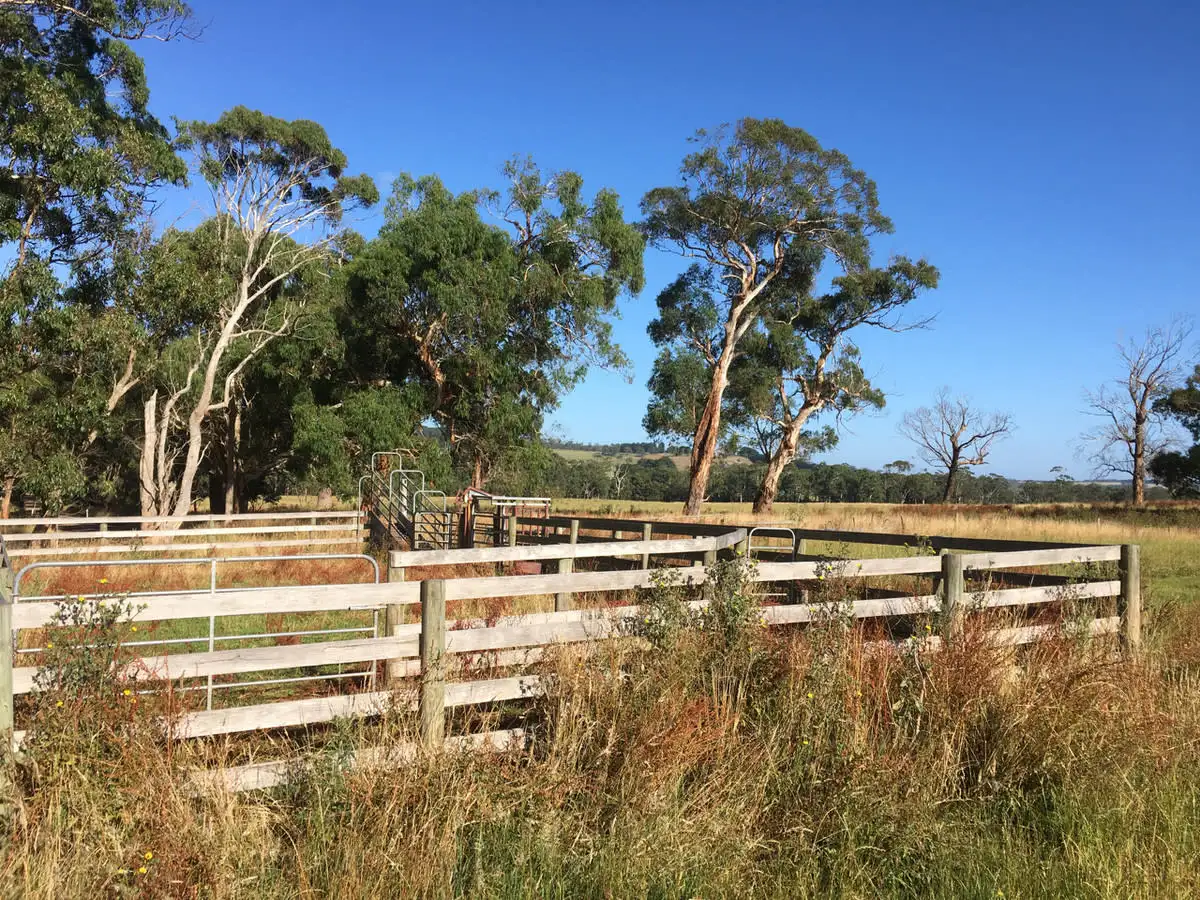 Main view of Homely rural property listing, Cobden - Port Campbell Road, Cowleys Creek VIC 3268