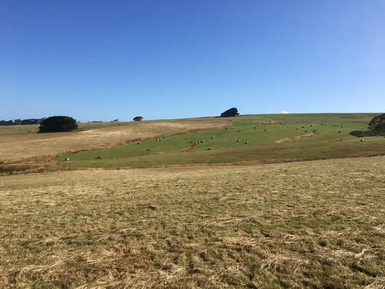 Second view of Homely rural property listing, Cobden - Port Campbell Road, Cowleys Creek VIC 3268