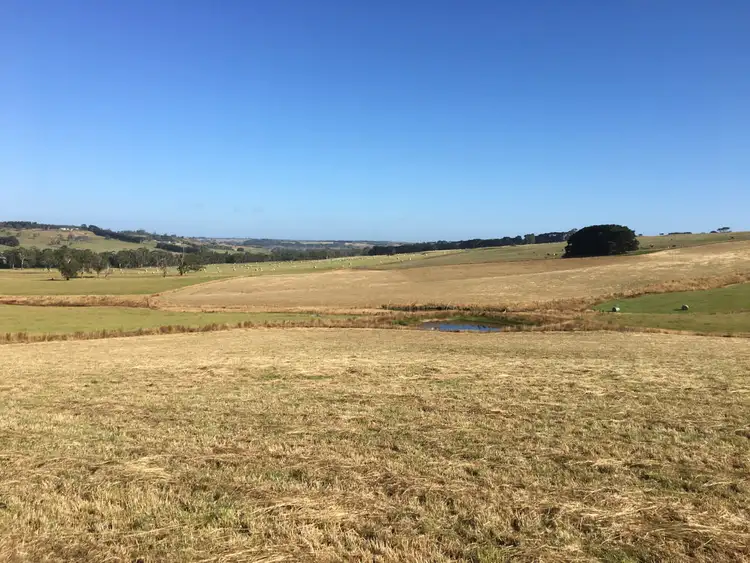 Third view of Homely rural property listing, Cobden - Port Campbell Road, Cowleys Creek VIC 3268