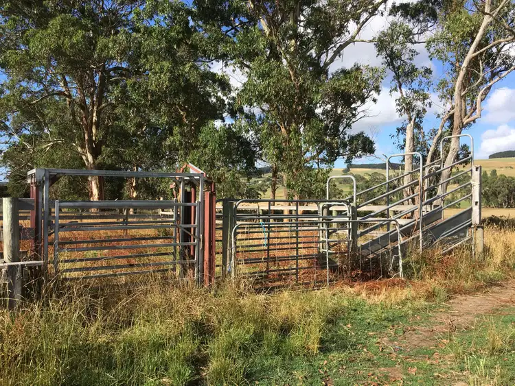 Fifth view of Homely rural property listing, Cobden - Port Campbell Road, Cowleys Creek VIC 3268