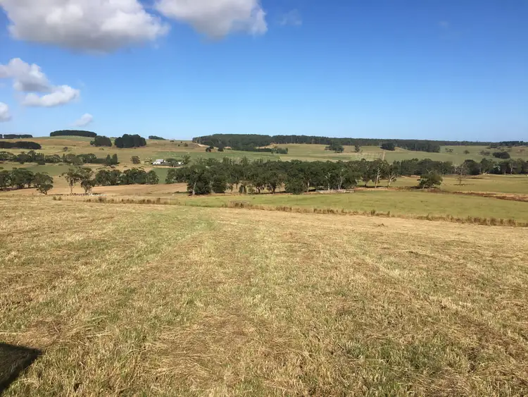 Sixth view of Homely rural property listing, Cobden - Port Campbell Road, Cowleys Creek VIC 3268