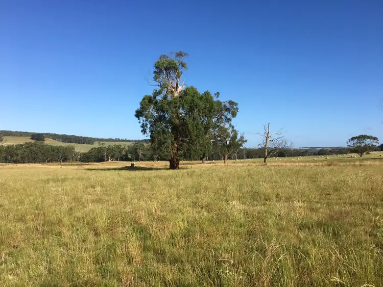 Seventh view of Homely rural property listing, Cobden - Port Campbell Road, Cowleys Creek VIC 3268