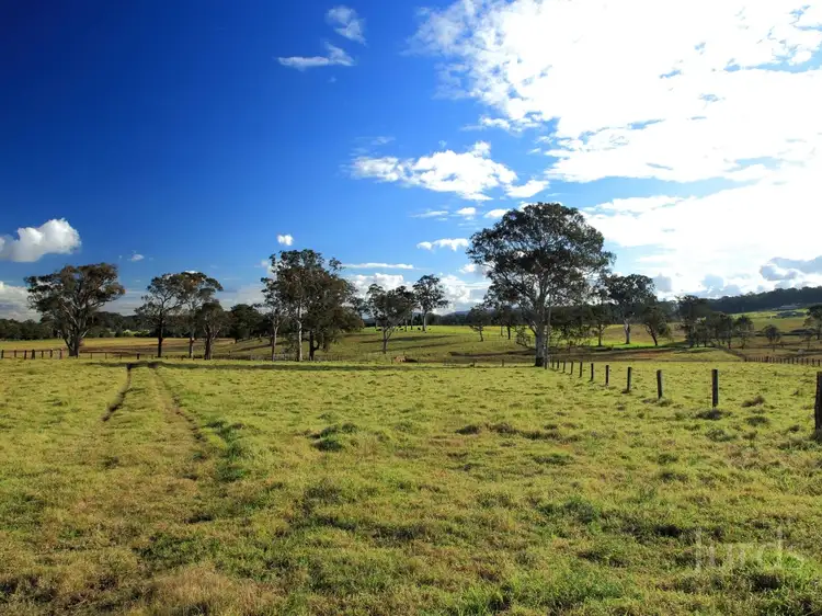 Second view of Homely rural property listing, 221 Fotheringay Road, Clarence Town NSW 2321